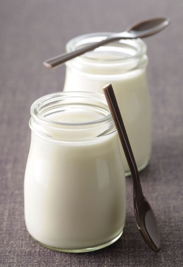 Plain Yogurt